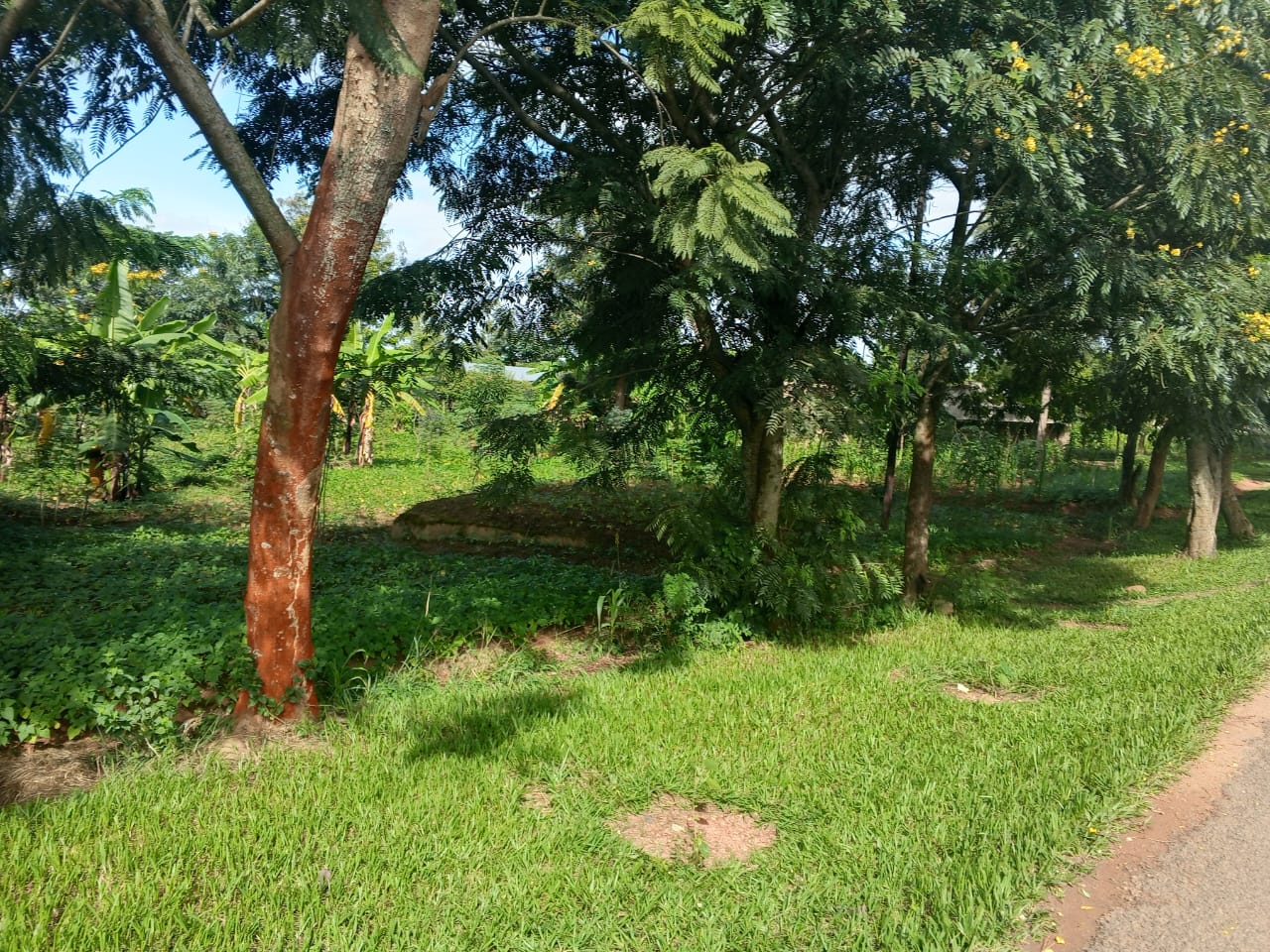 Isambu